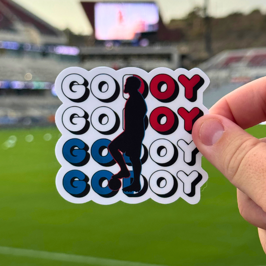 Aníbal Godoy Sticker - SD Life