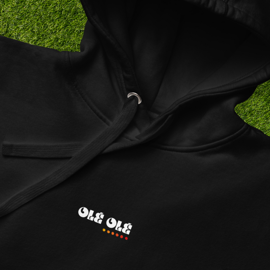 Azul Y Chrome Hoodie